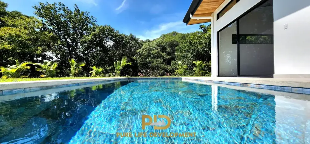 Modern house with pool and trees on sunny day