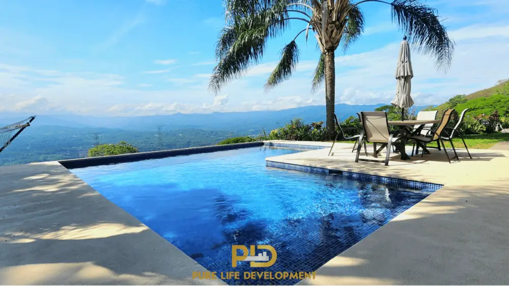 Infinity pool with mountain view and palm trees.