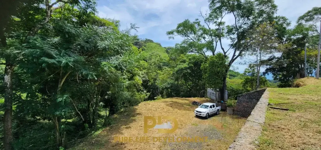 Open green landscape with trees and a white car.