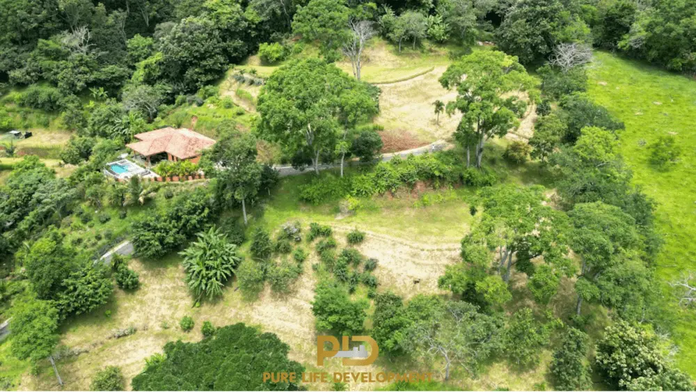 Aerial view of lush green landscape and house.