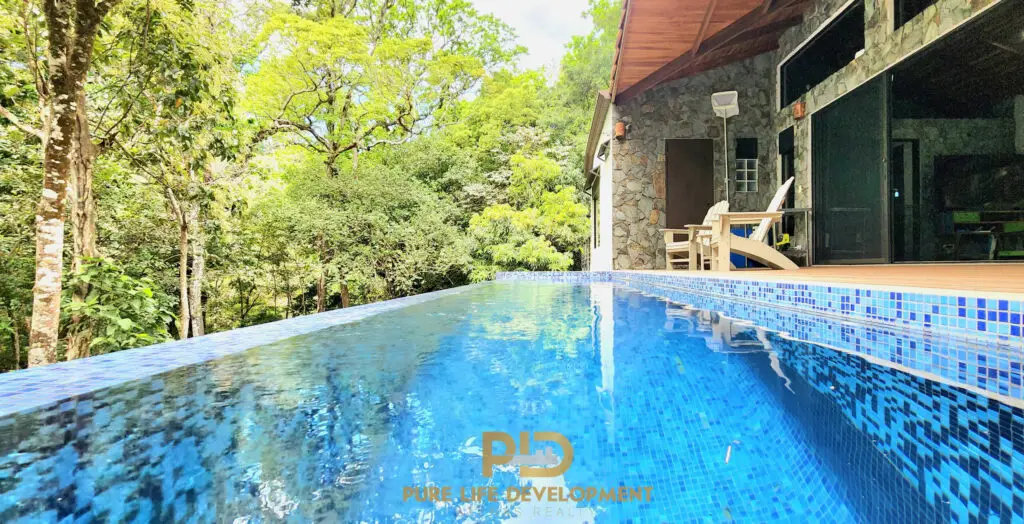 Infinity pool with forest view