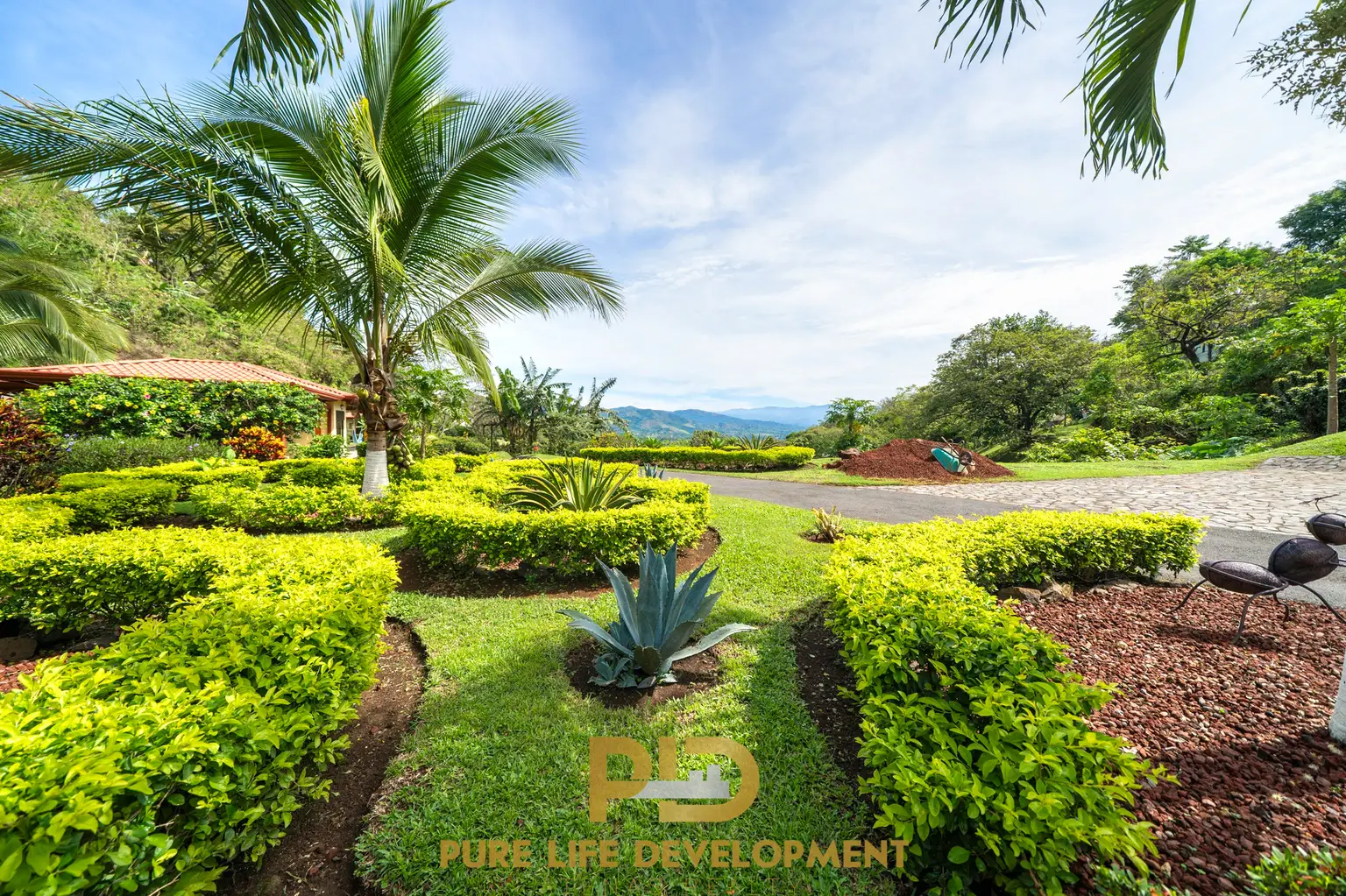 Lush garden with palm tree and mountains view