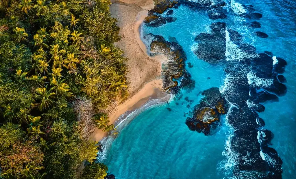 Aerial view of tropical beach and ocean waves.