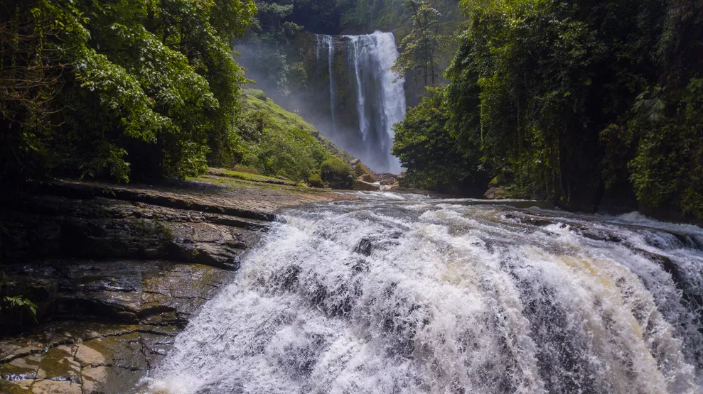Lush jungle waterfall cascading into rocky stream.