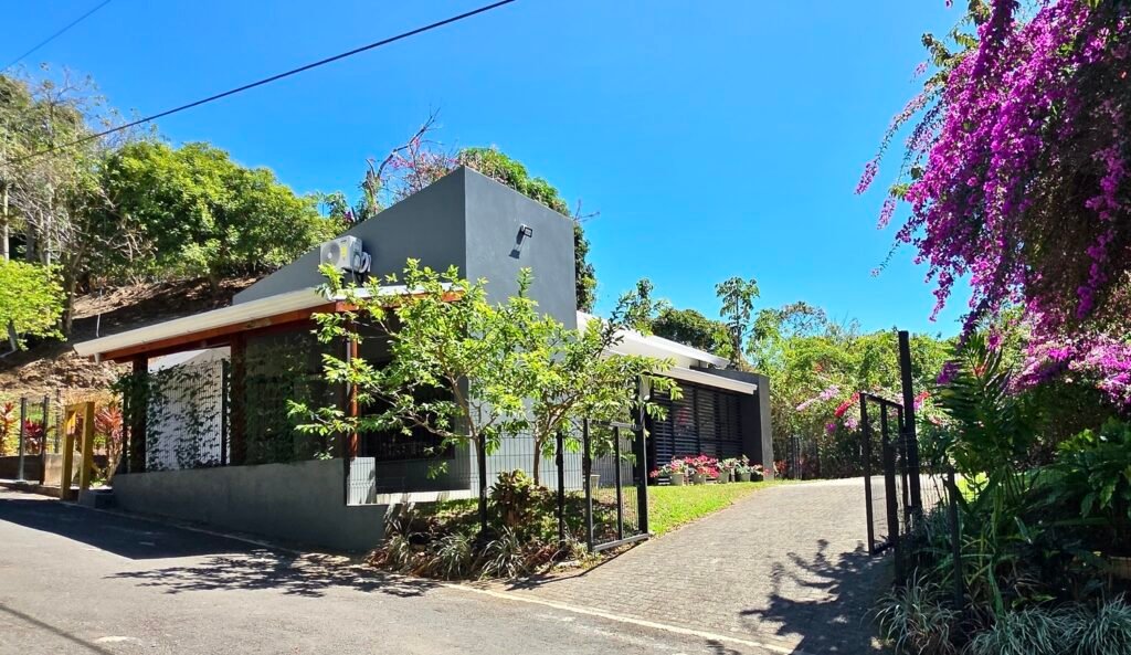 Modern house surrounded by lush greenery and flowers.