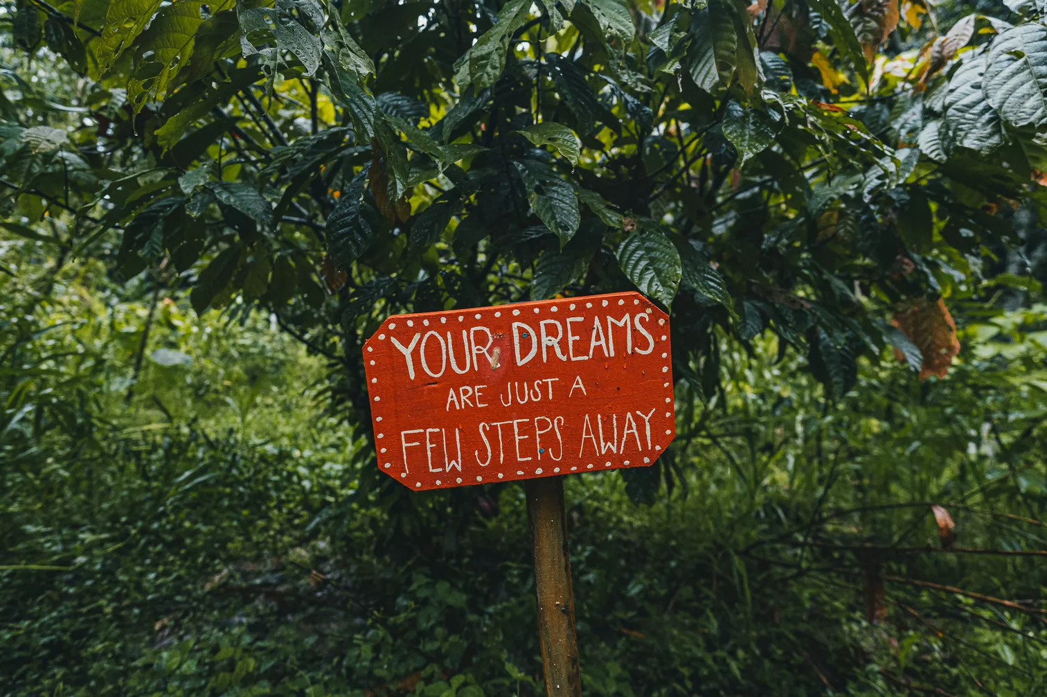 Inspirational sign in lush green forest