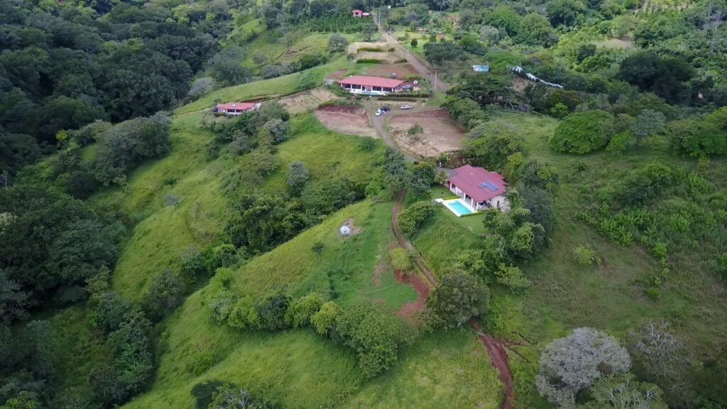 Aerial view of hillside homes surrounded by lush greenery