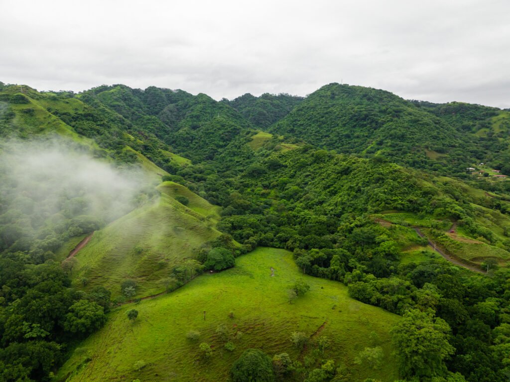 Misty green hills and forested valley landscape