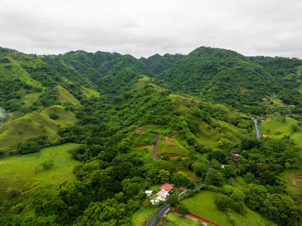 Lush green hills with winding rural road