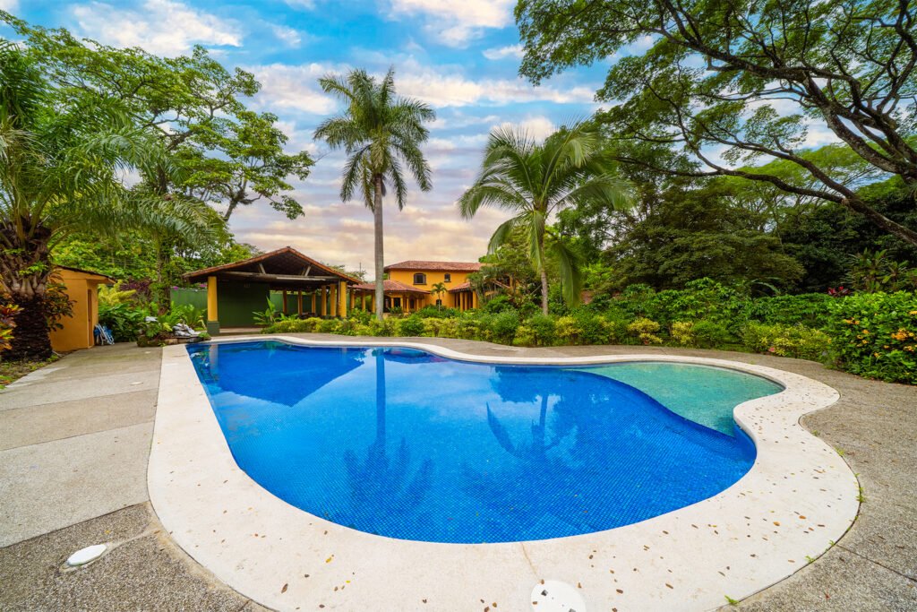 Tropical home with curved swimming pool and palms