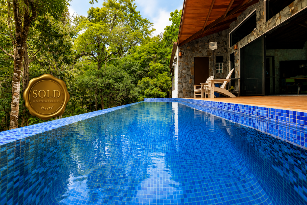 Luxury home with infinity pool and jungle view