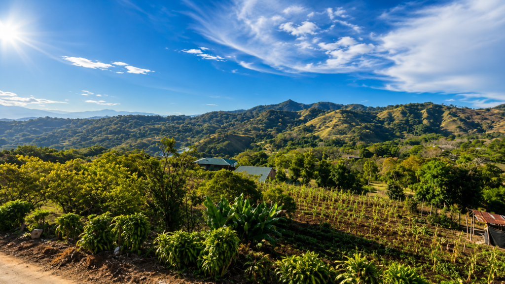 Sunny rural valley with green hills and farmland